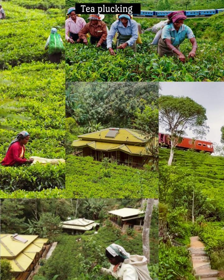 Train View Chalet Bandarawela Ngoại thất bức ảnh
