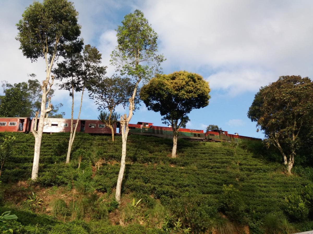 Train View Chalet Bandarawela Ngoại thất bức ảnh