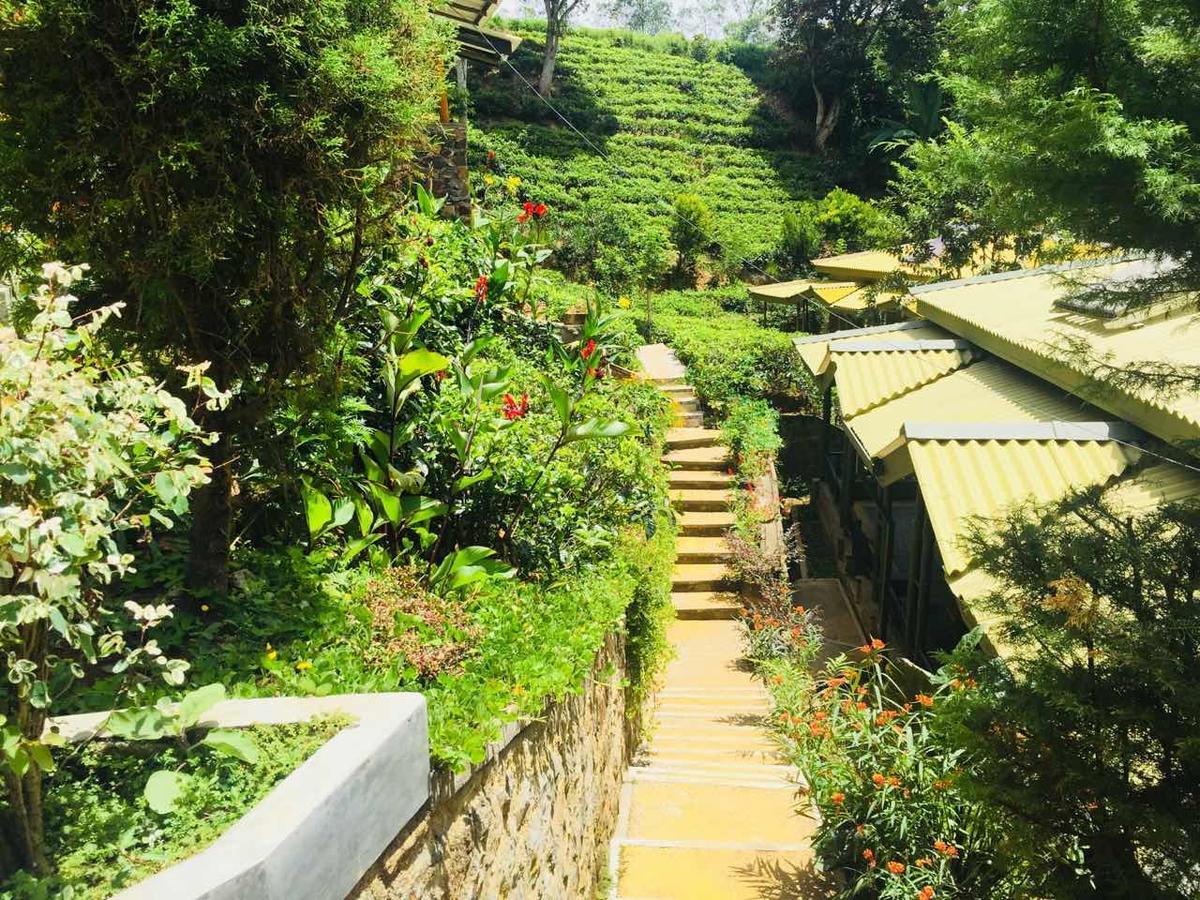 Train View Chalet Bandarawela Ngoại thất bức ảnh